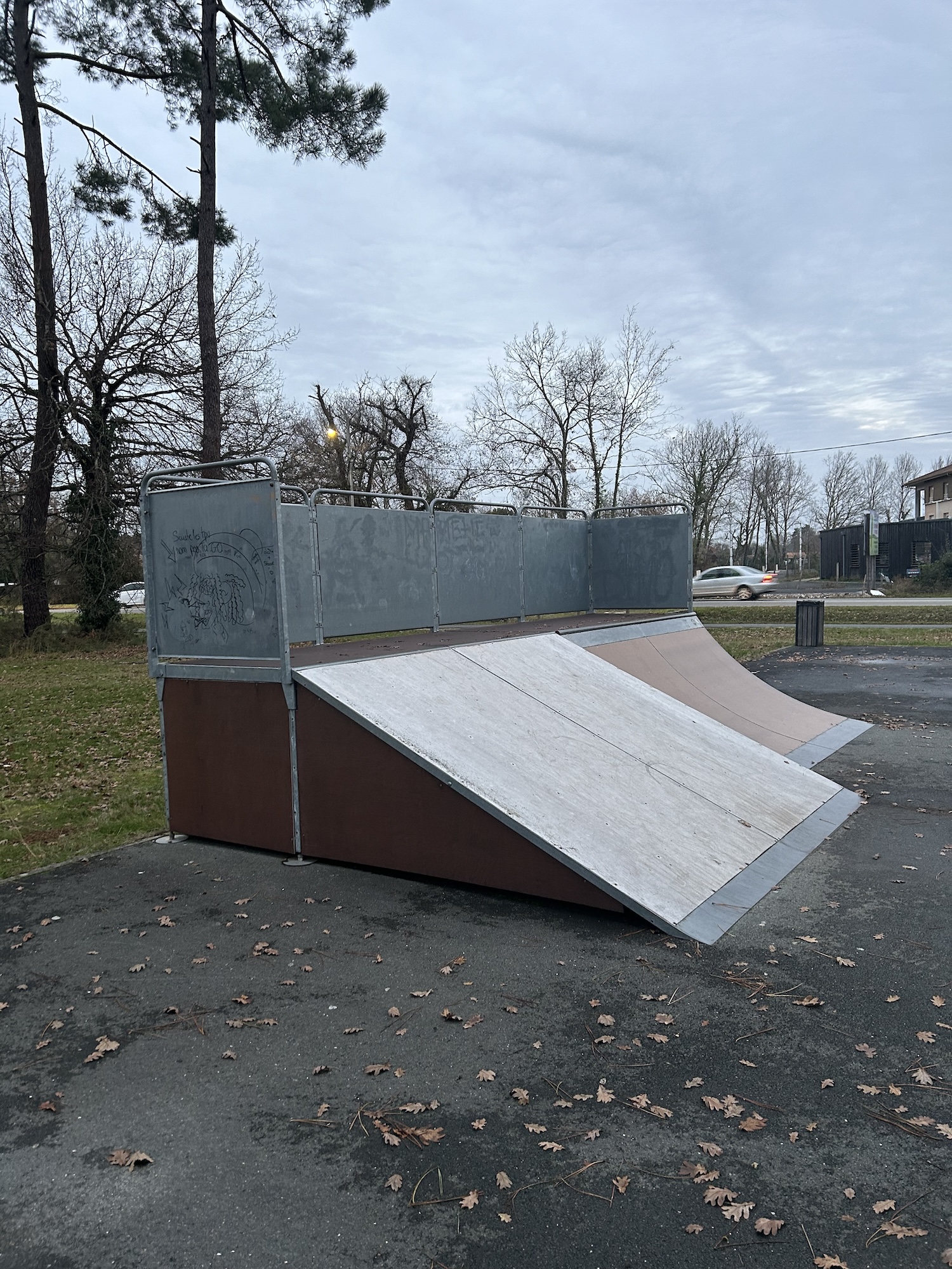 Le Teich skatepark